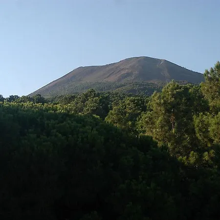 Hotel Hotel Vesevus 4*